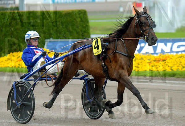 Madison Fair heat 2.t6127a7b1.m600.w.4salnwmark2.png.x07U5iMD9.jpg