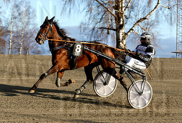 Ginetta Scoop heat 2.t5dc6eb00.m600.w.4salnwmark2.png.xYds8sPss.jpg