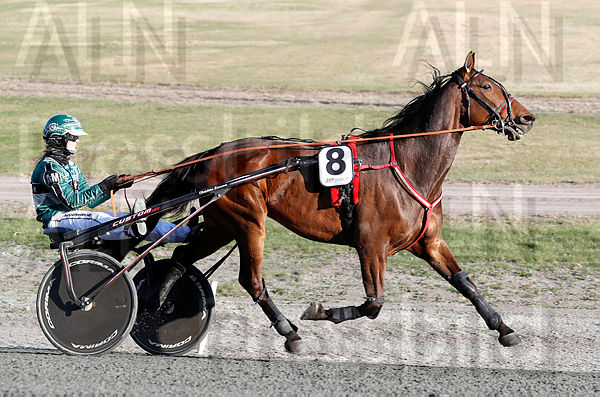 Quickly Jade heat 1.t629a1ed0.m600.w.4salnwmark2.png.xNCAY_Q_7.jpg