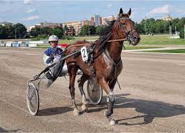 download - 2022-06-23T104336.032.jpg