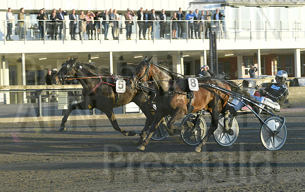 Muscle Man Boko mål 1 (2).t626af577.m600.w.4salnwmark2.png.x_HbWP485.jpg