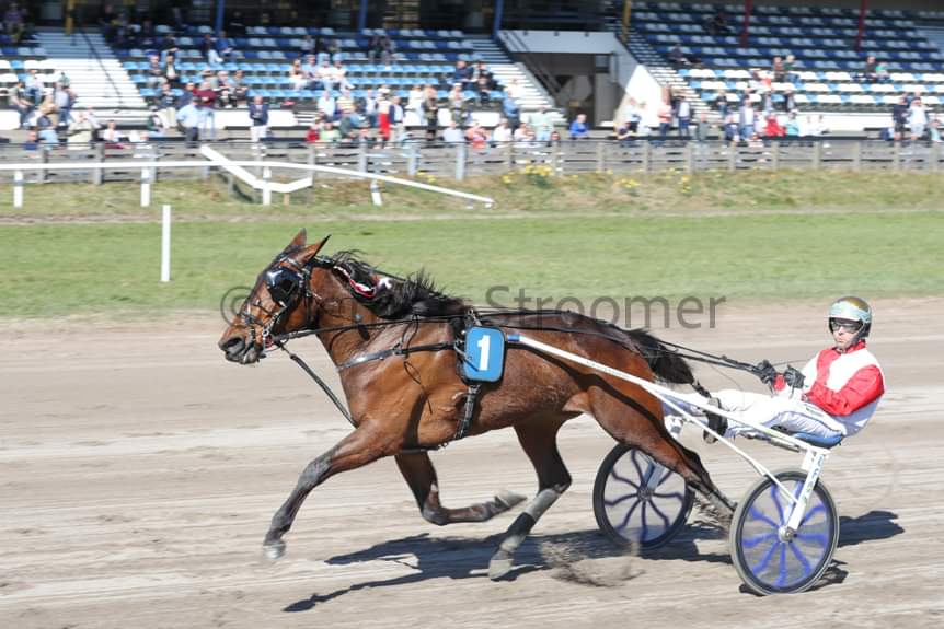 277302284_3867750256784510_8034873583581286687_n (1).jpg