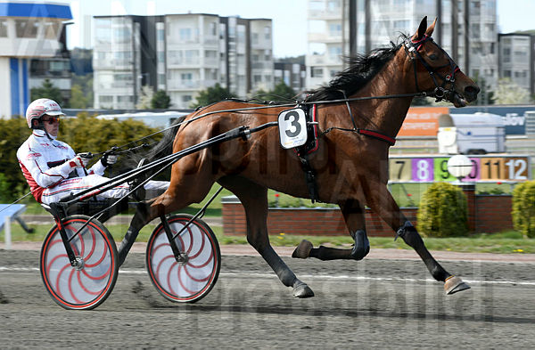 Chebba Mil heat.t6276de42.m600.w.4salnwmark2.png.x_7sTXWyt.jpg