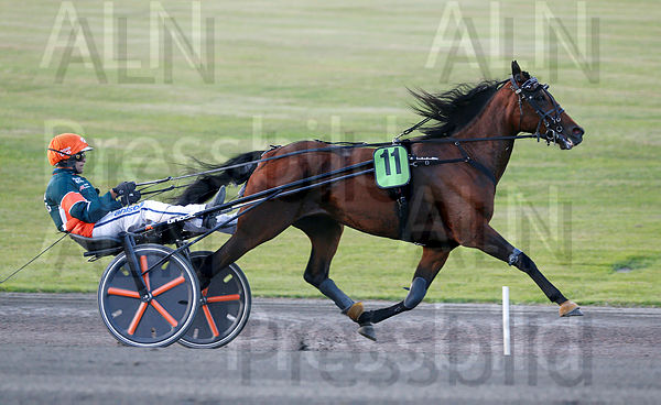 Tilda Express heat 1.t6151e96e.m600.w.4salnwmark2.png.xnSzkFZ9n.jpg
