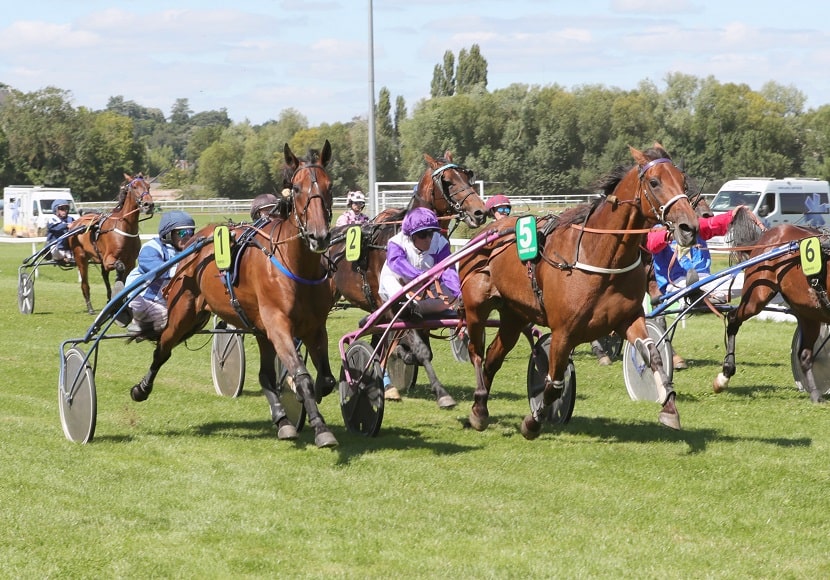 Grande_de_Ranchy_TV_JCB_830x580-min.jpg
