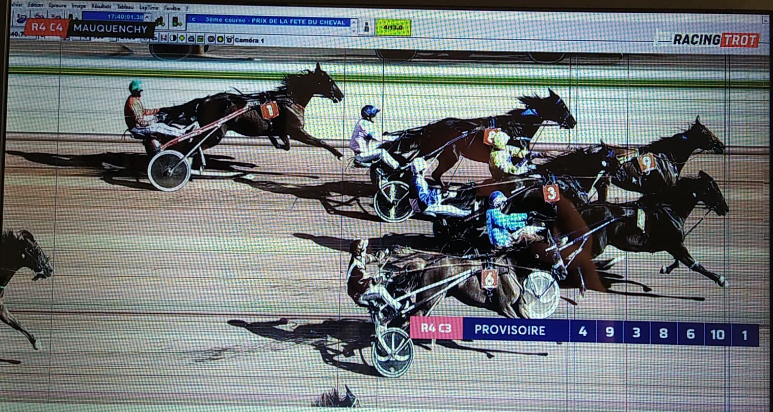 2022-08-01 Elegant.jpeg