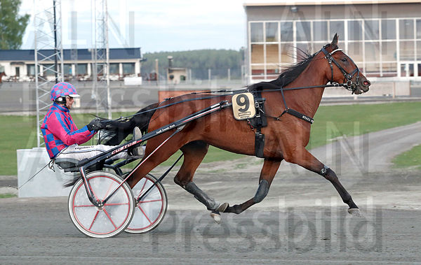 Rose Hill heat 1.t62aa20bf.m600.w.4salnwmark2.png.xLRB1S2zB.jpg