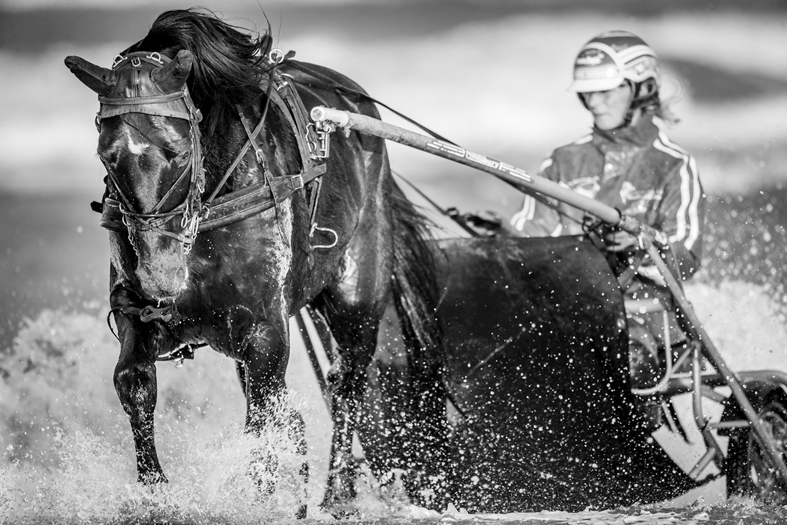 a05i3538-edit-3.jpg