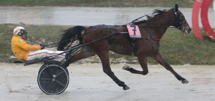 1644018335_Cash-Maker-di-rincorsa-696x327.jpg