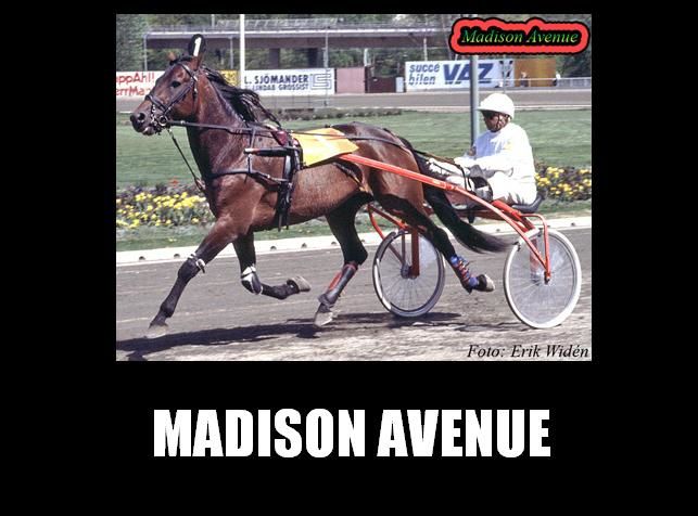 Madison-Avenue--1-.jpg