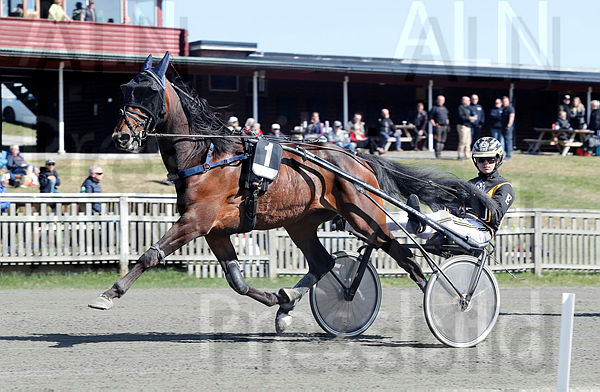 Lexington Yoda heat 1.t62aa1f1b.m600.w.4salnwmark2.png.x0gm0dKUf.jpg