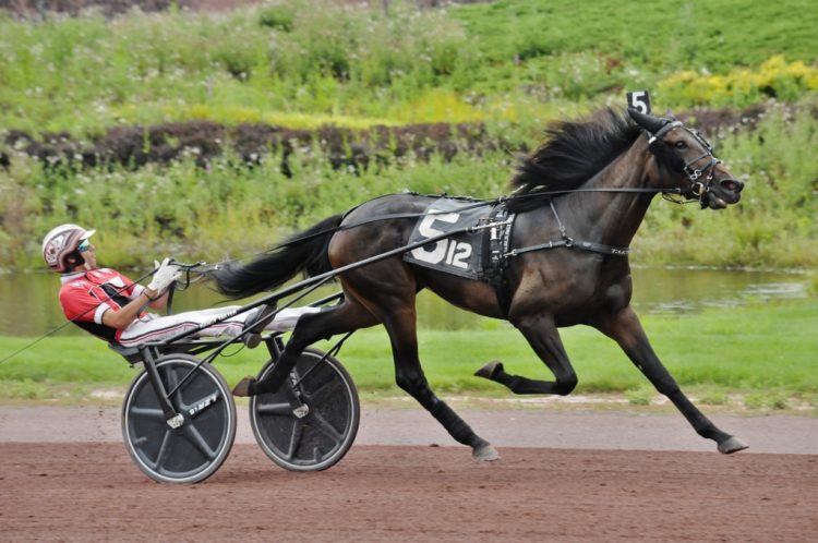 Curtis-Salonick-photo-Mon-Cheval-PCD-MON-081621-750x498.jpg