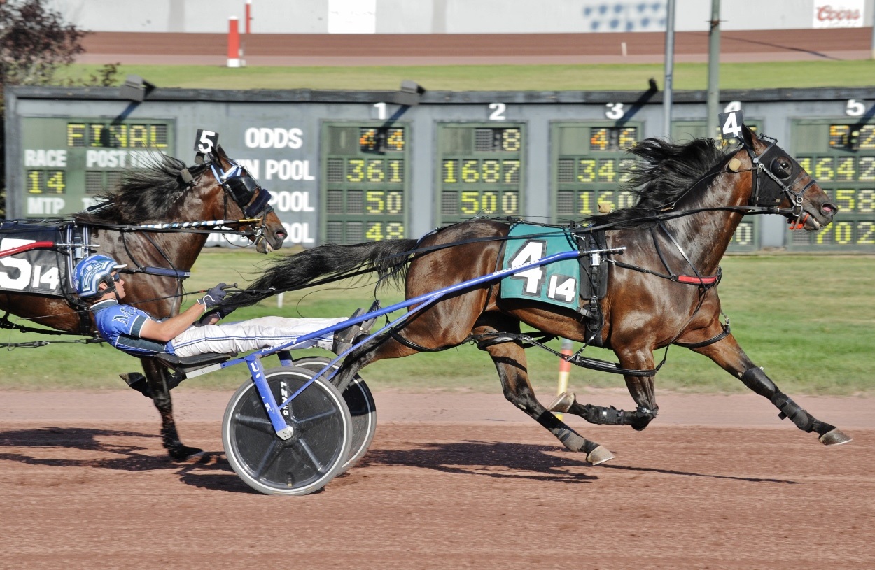 Curtis-Salonick-photo-Allywag-Hanover-Always-B-Miki-PCD-SAT-082022.jpg
