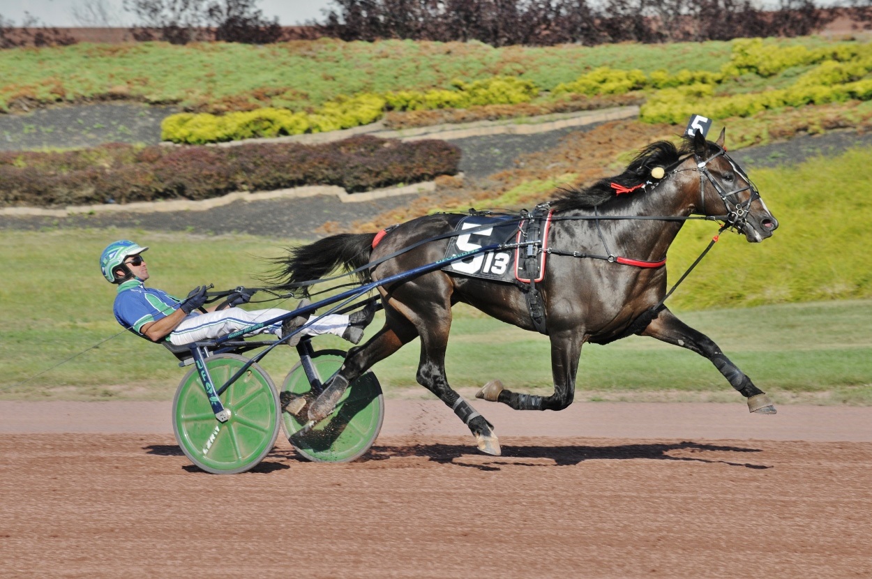 Curtis-Salonick-photo-Cuatro-Du-Julio-Sebastian-K-S-PCD-SAT-082022.jpg