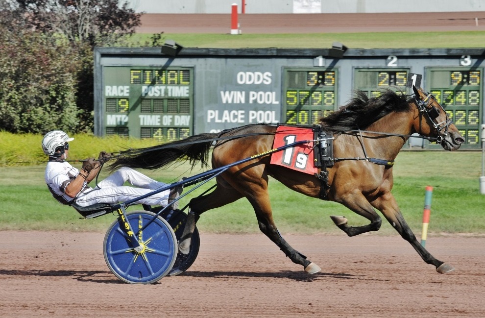 8-20-22-Joviality-S-and-driver-Brian-Sears-Curtis-Salonick-Photo.jpg