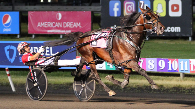 wb071622-r10-Bulldog-Hanover.jpg