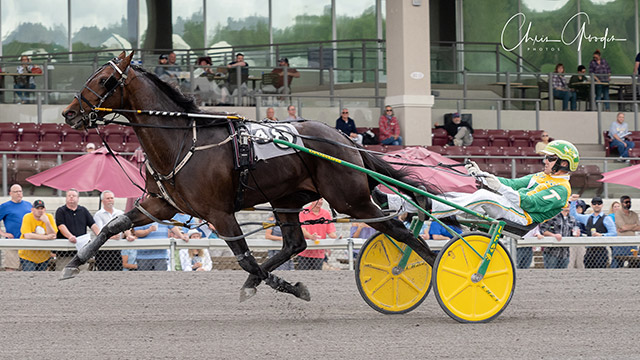 Workin-Ona-Mystery-Meadows-May-4-2019-640px.jpg