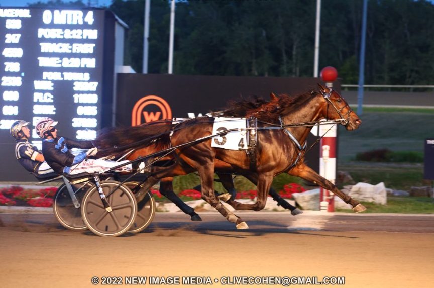 Winners-Bet-e1661072174510.jpg