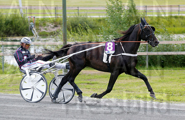 Makethemark heat 1.t61606977.m600.w.4salnwmark2.png.xX55qba5h (1).jpg
