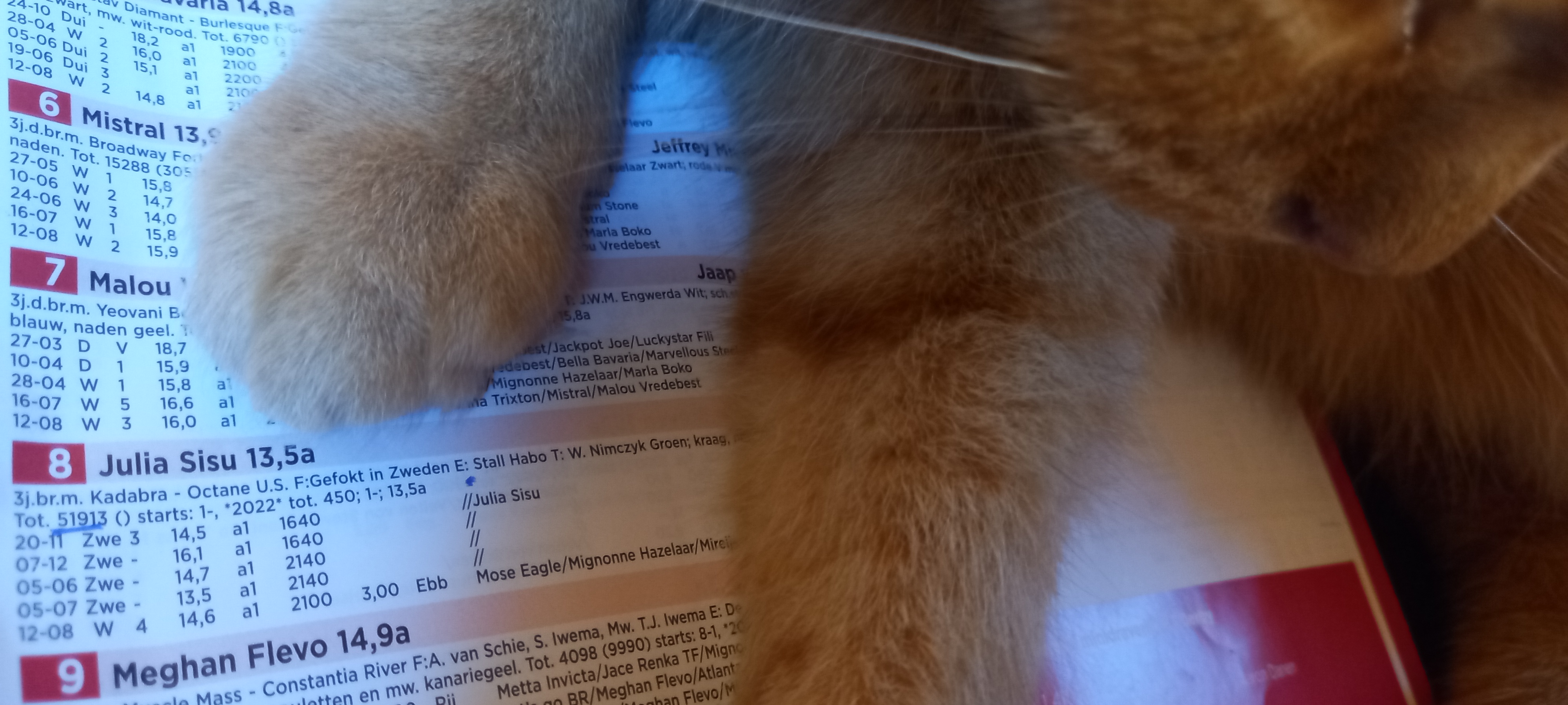 20220828_082414.jpg