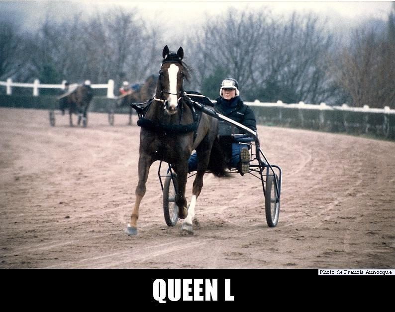ob_f01d0e_queen-l-numerisation0024.jpg
