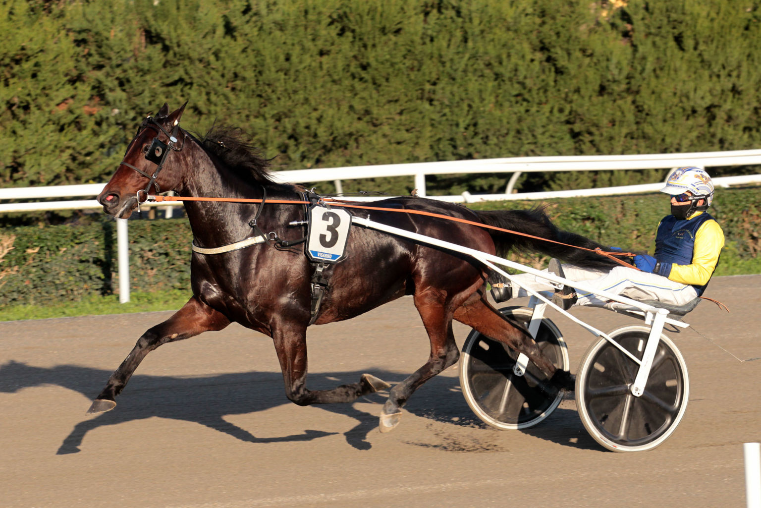 Deimos-Racing-1536x1025.jpg
