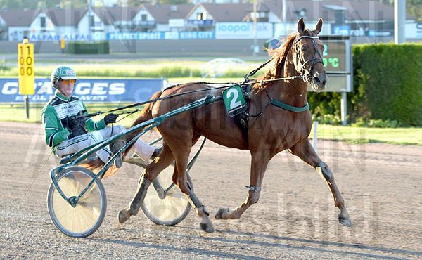 Queen Belina def.t62f294dc.m600.w.4salnwmark2.png.xj_QKz1AQ.jpg