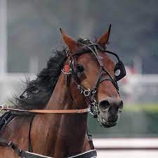 download - 2022-09-13T115450.025.jpg