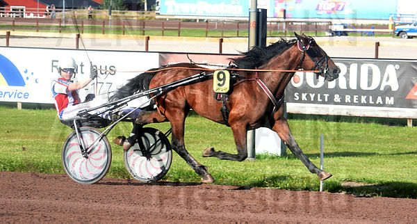 Cheap Thrills mål.t5d360f17.m600.w.4salnwmark2.png.xhMGmHinl.jpg