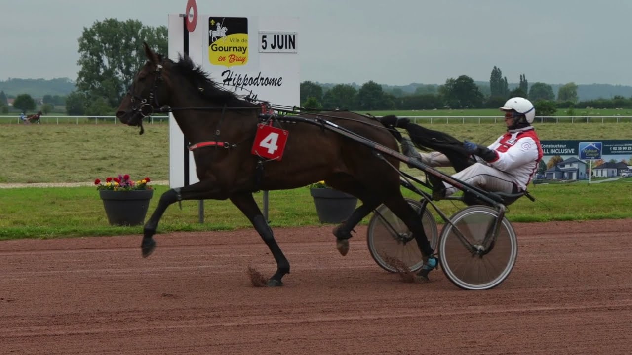 maxresdefault (54).jpg