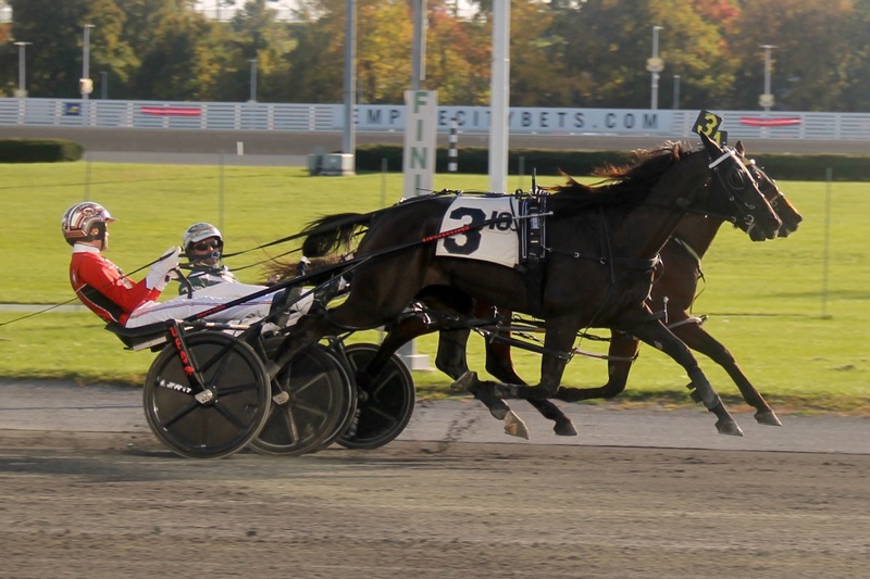 11-15-22-None-Bettor-A-World-Record-Yonkers-Mike-Lizzi-Photo.jpg