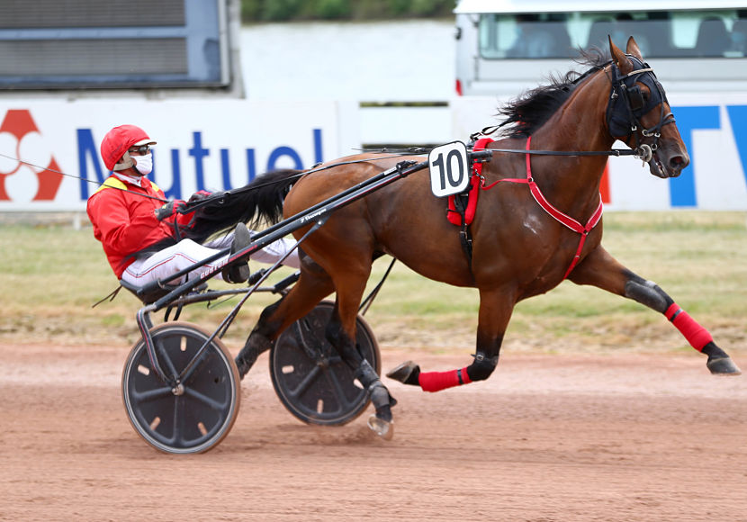 drole_de_jet_cheval_du_moment.jpg