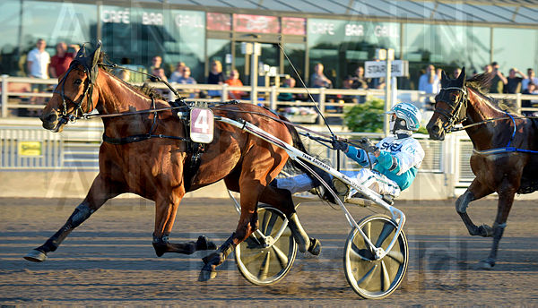 Born Unicorn mål 2.t60ca41ec.m600.w.4salnwmark2.png.xsEMw77lx.jpg