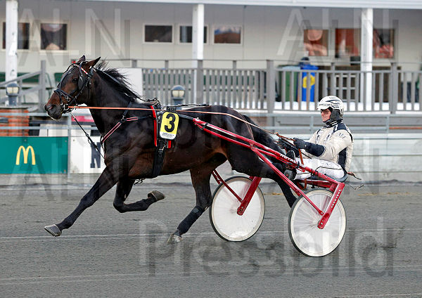 Joe Dalton heat.t622faccf.m600.w.4salnwmark2.png.xBPSttL77 (1).jpg