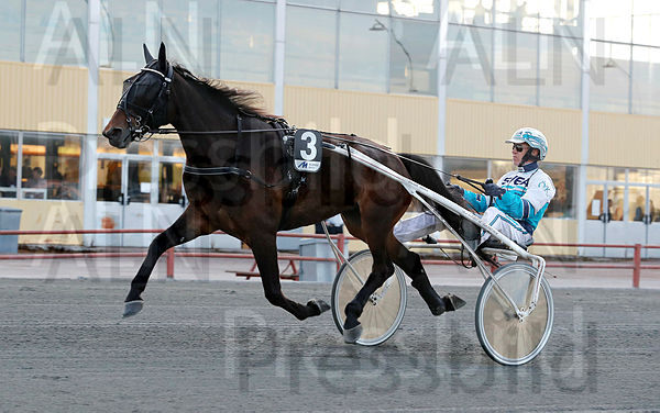 Faeza Zet heat 1.t62755b40.m600.w.4salnwmark2.png.xUIMCu7_b.jpg