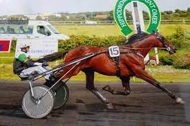 download - 2022-10-29T113701.419.jpg