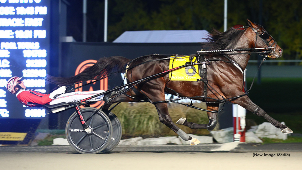 Bulldog-Hanover-2022-Breeders-Crown-1024px.jpg