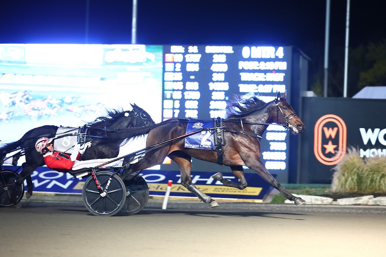 10-29-22-Jiggy-Jog-S-driver-Dexter-Dunn-New-Image-Media-Photo.jpeg