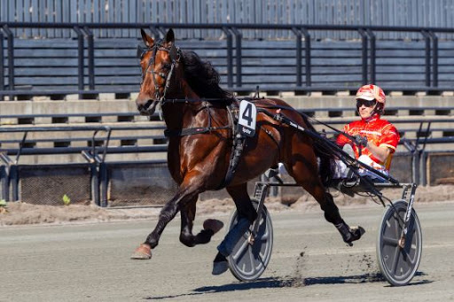 unnamed (38).jpg