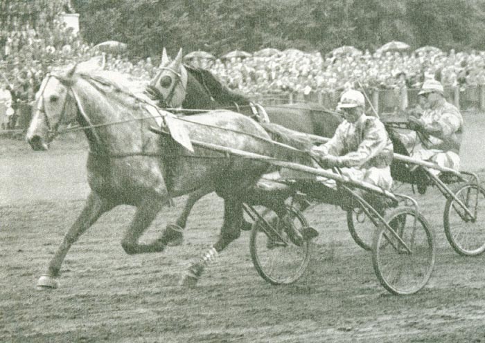 Tabor Quick GZ58.jpg