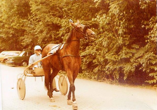 Nuttert Norton 01.jpg