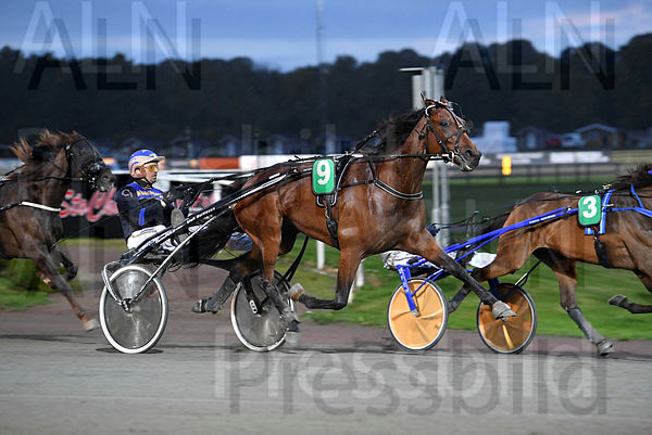 Fluttershy A.F. mål 620 (2).t6320c2cd.m600.w.4salnwmark2.png.xga-MHkMJ.jpg