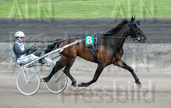Coffey heat 1.t62aa21cc.m600.w.4salnwmark2.png.xQHfWAubf.jpg