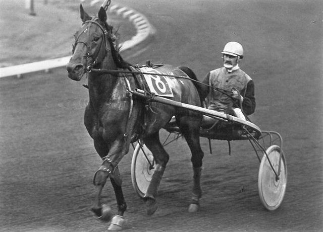 Riemke Uithuizen 22-8-81.jpg