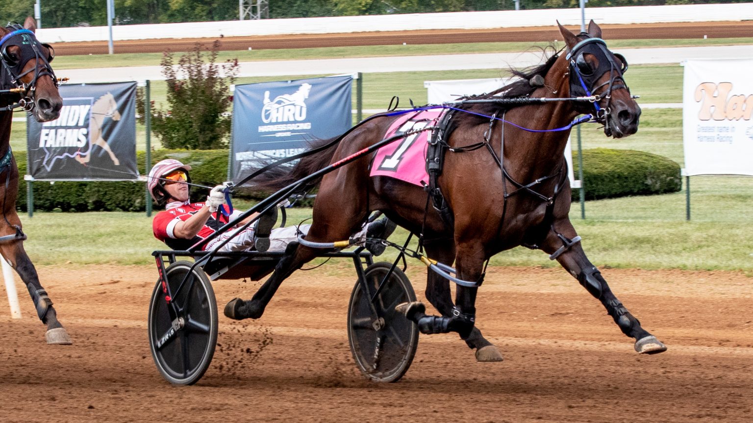 niki-hill-2-1536x864.jpg