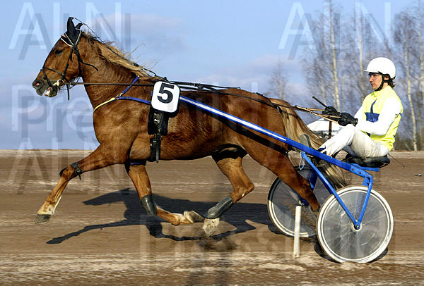 Giant Hall heat 1.t463f4f2f.m600.w.4salnwmark2.png.xmeW9C3HN.jpg