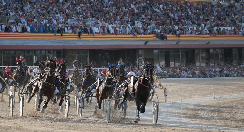 pferdetrabrennen-mallorca-drängte-hippodrom-weit-111543762.jpg