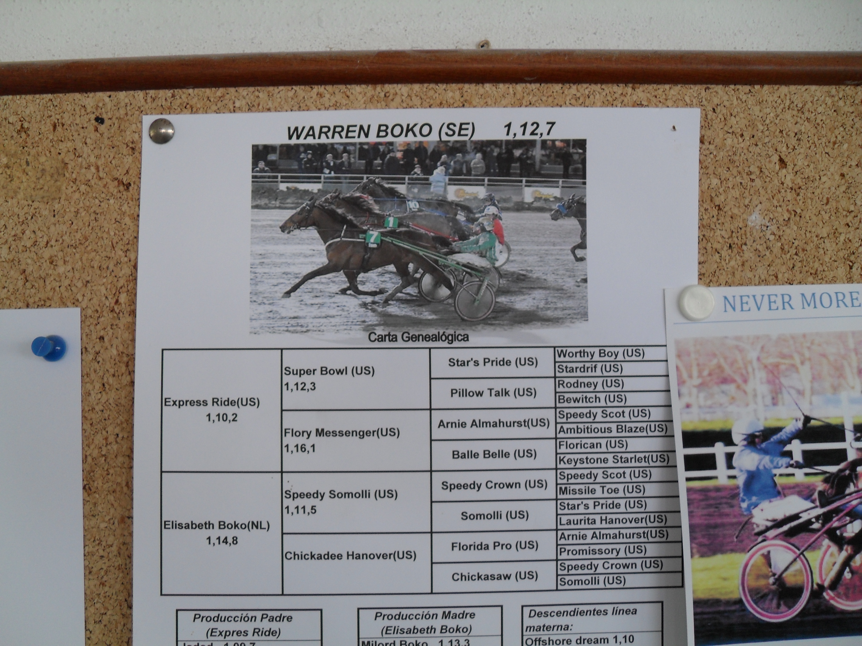 2011-5-25 Mallorca 376.JPG