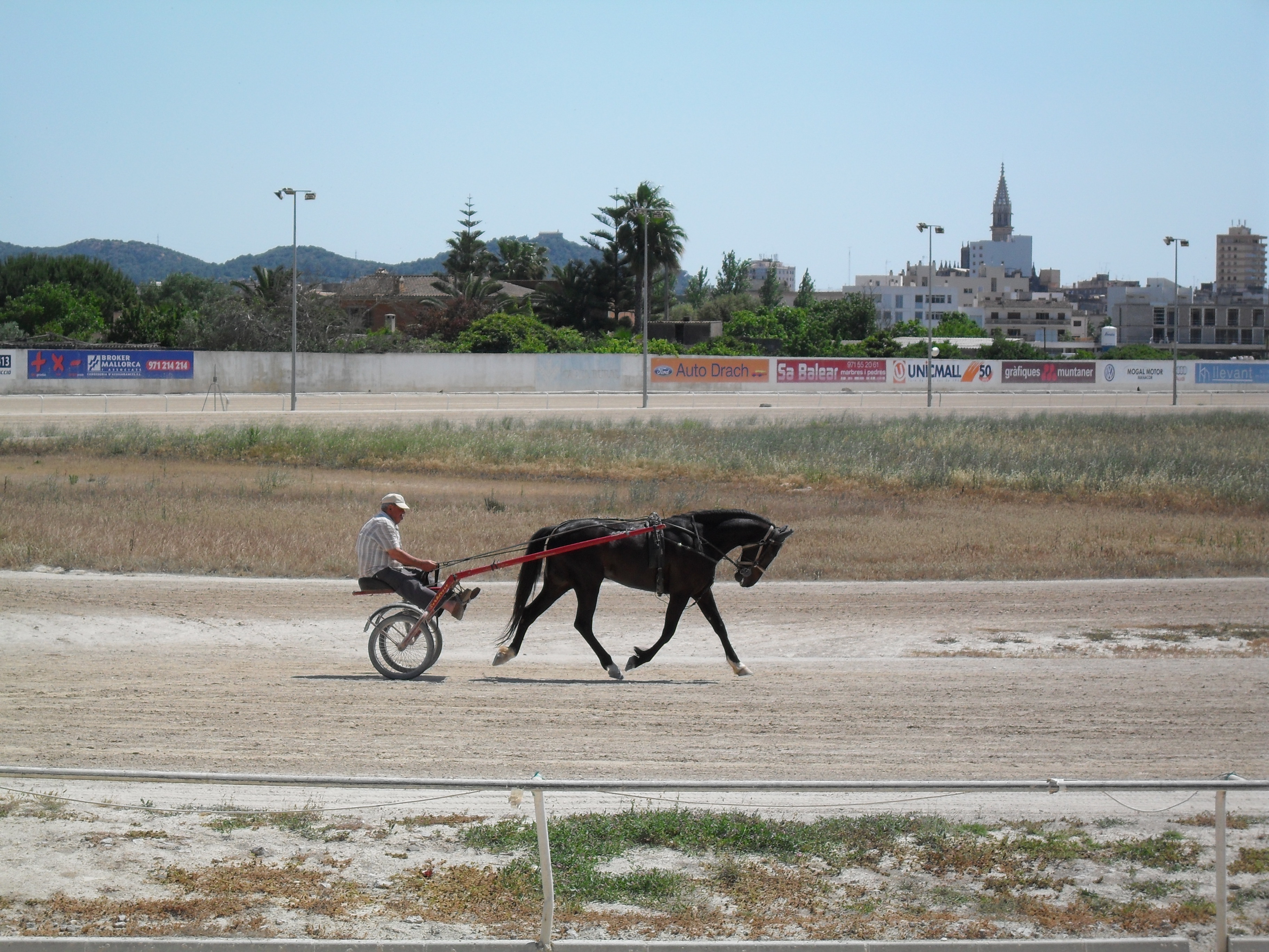 2011-5-25 Mallorca 368.JPG