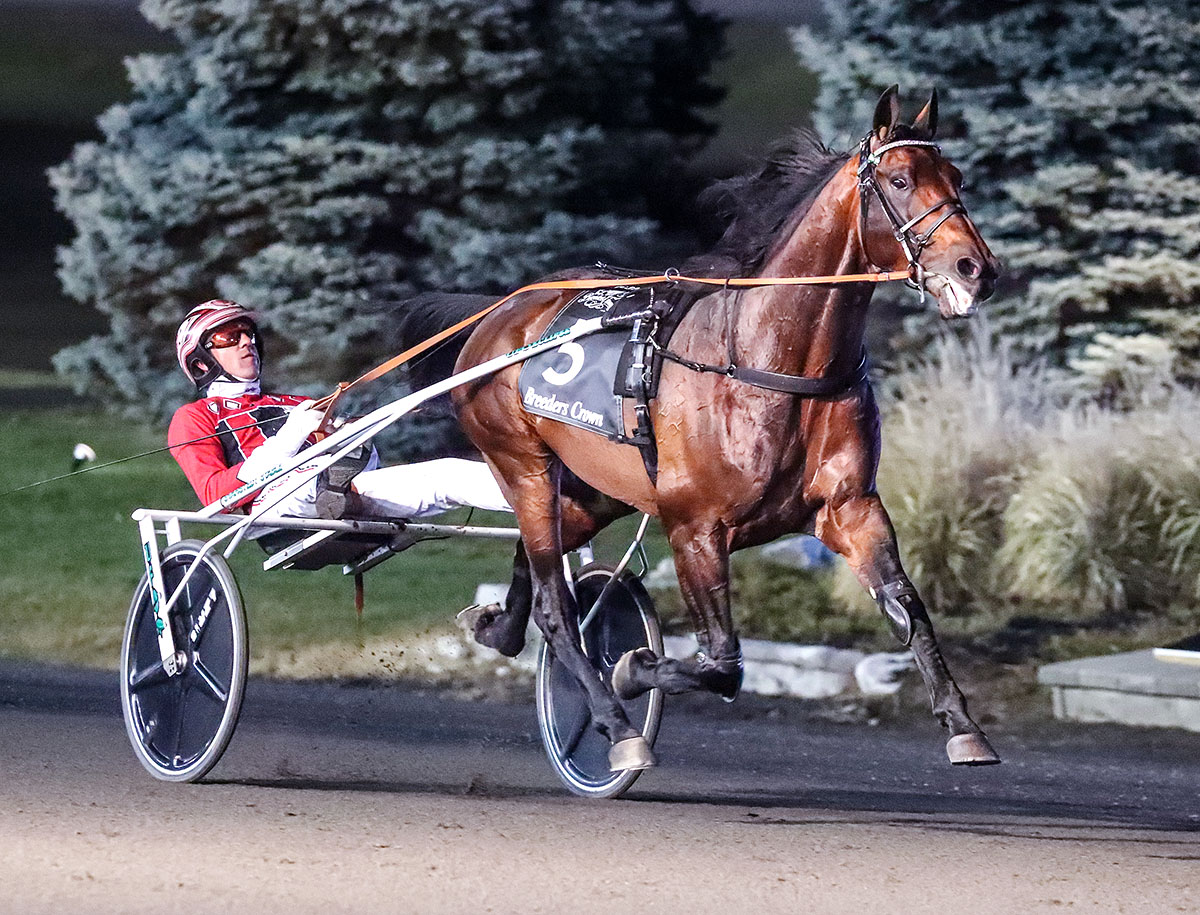 Ecurie-D-DK-Mark-Hall-USTA.jpg